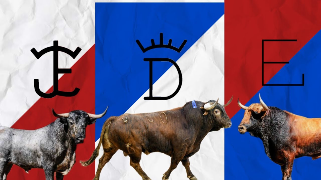 Sorteo de 4 Ganaderias Las Ventas 2019