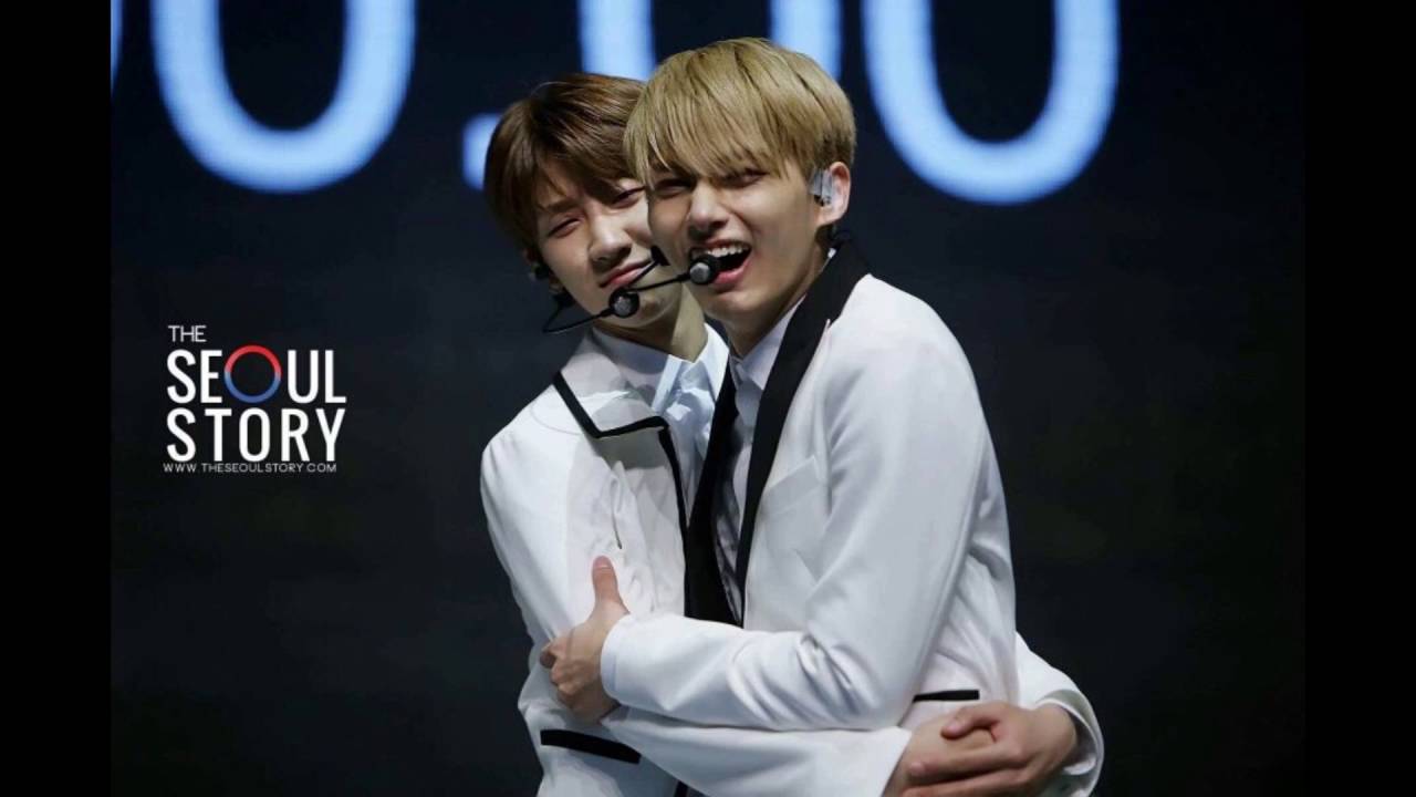 Top 5 Ship in Seventeen (Survey Based)