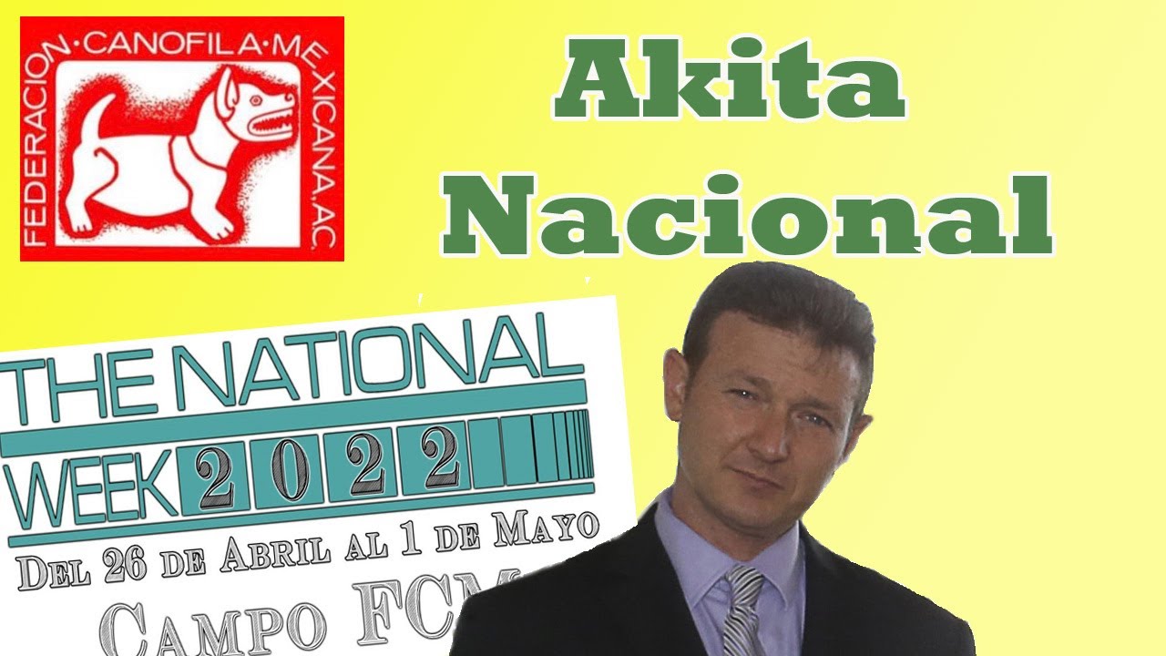 Nacional de Akita dentro de la National Week 2022  en Mexico juzgada por Laure Jordan-Fener