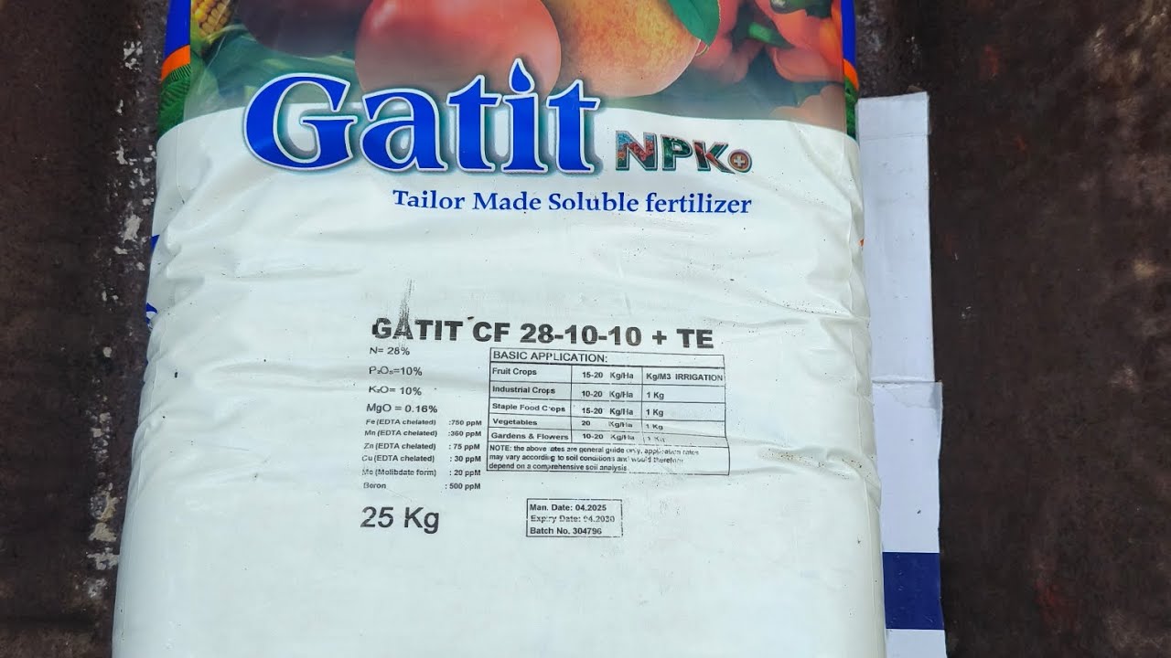 # 193 Phun rầy định kỳ và tưới phân gốc 