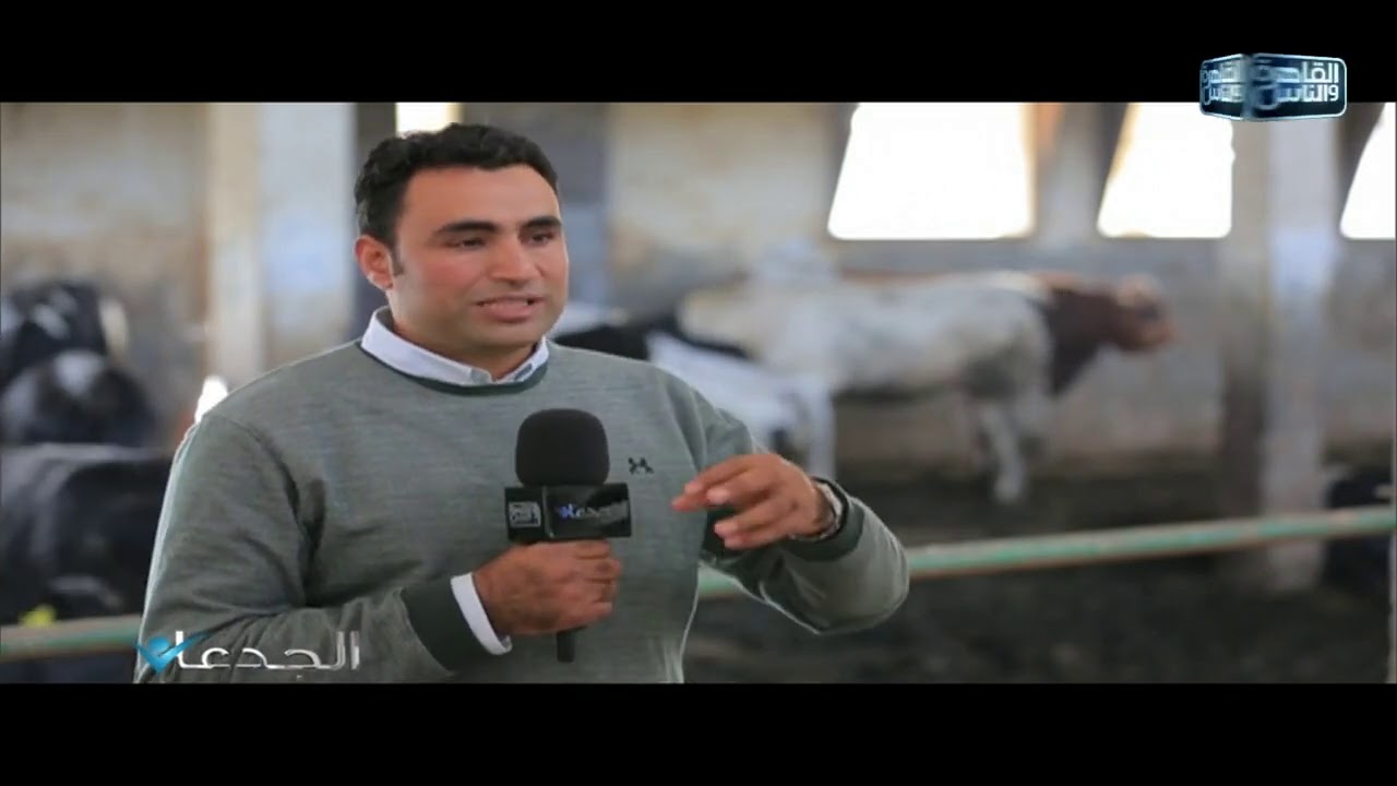 د.محمد بكر:يقصد بالتصافى نسبة لحوم الحيوان بدون الجلد و الأحشاء الداخلية