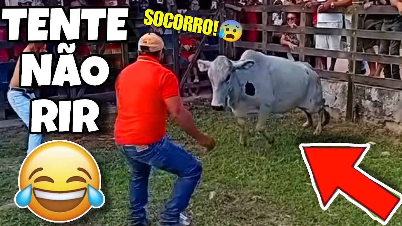 TENTE NÃO RIR: OS MELHORES VÍDEOS DA INTERNET #videosengracados #tentenaorir #comedia #humor #tiktok