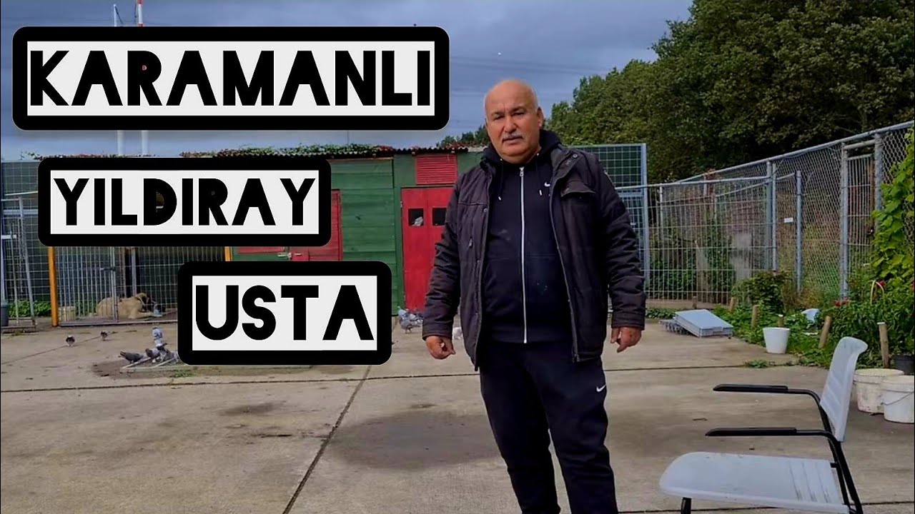 OYUN KUŞU YAVRUSU! BABA VEYA ANNA'YA EŞ OLURMU!?