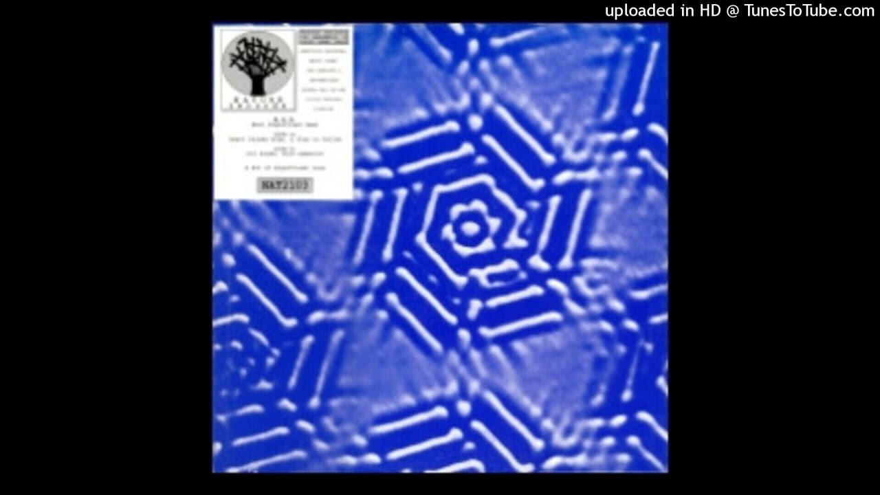Most Significant Beat - Solo Numerico (1994)