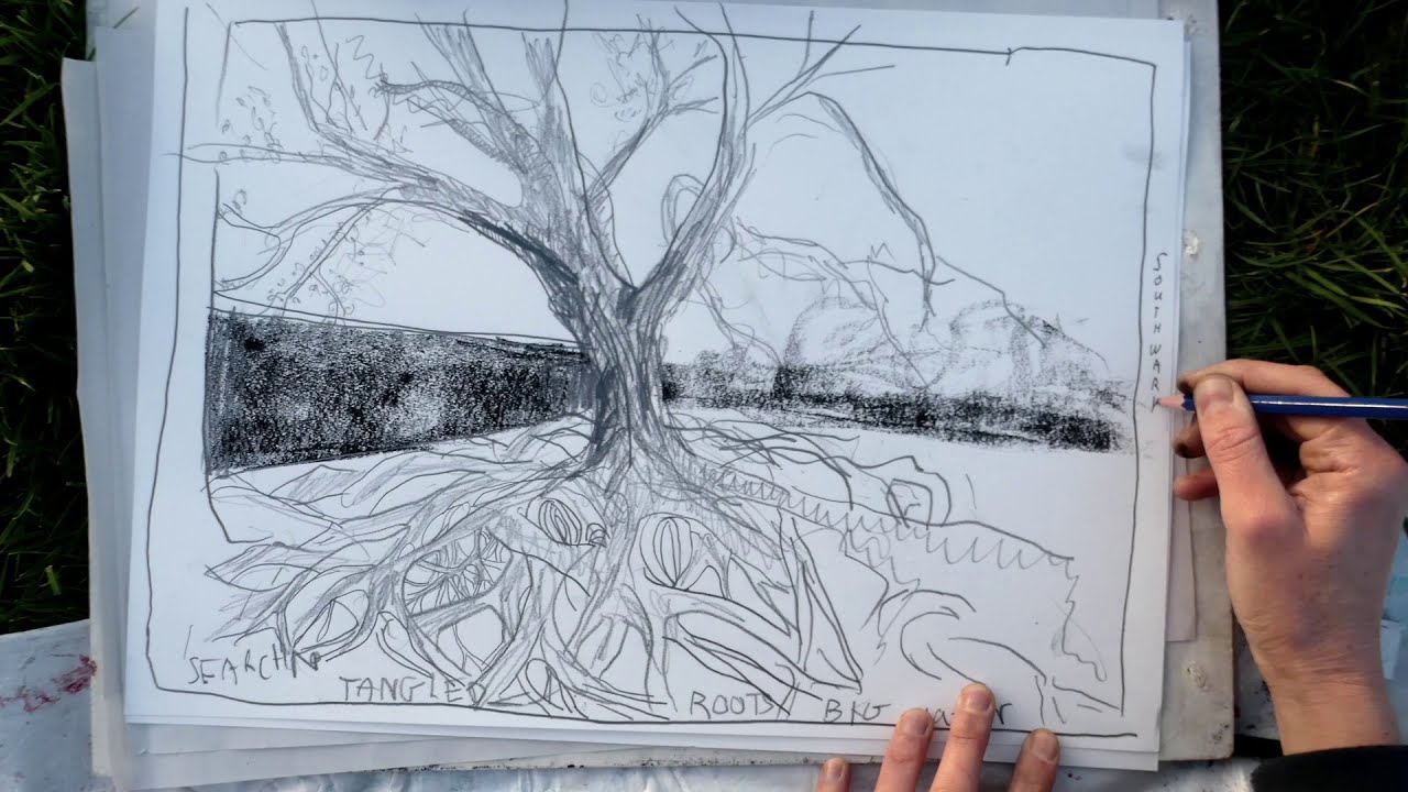 Alexa Lowe // A Southwark Park Tree Adventure