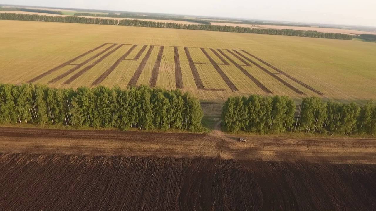 Надпись «АгроТерра» на поле в Тамбовской области