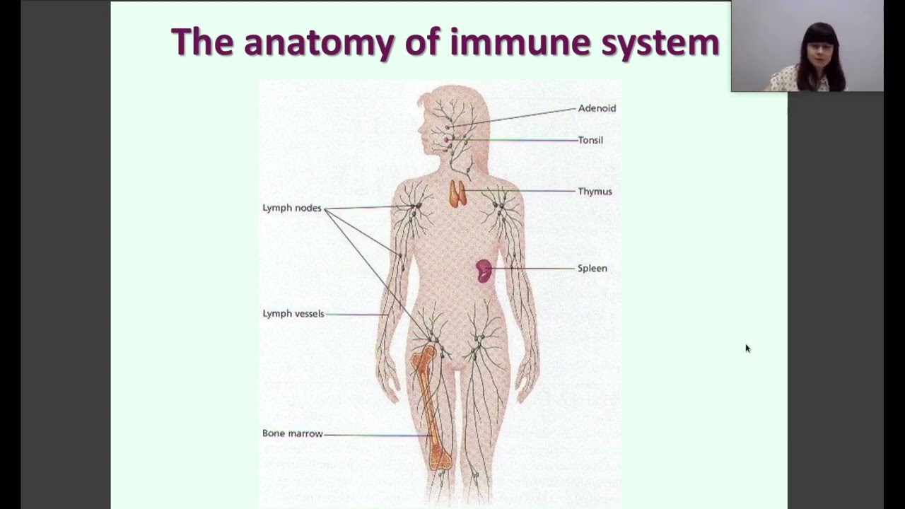 1.4 History of immunology. Evolution of the immune response. Nonspecific immunity.