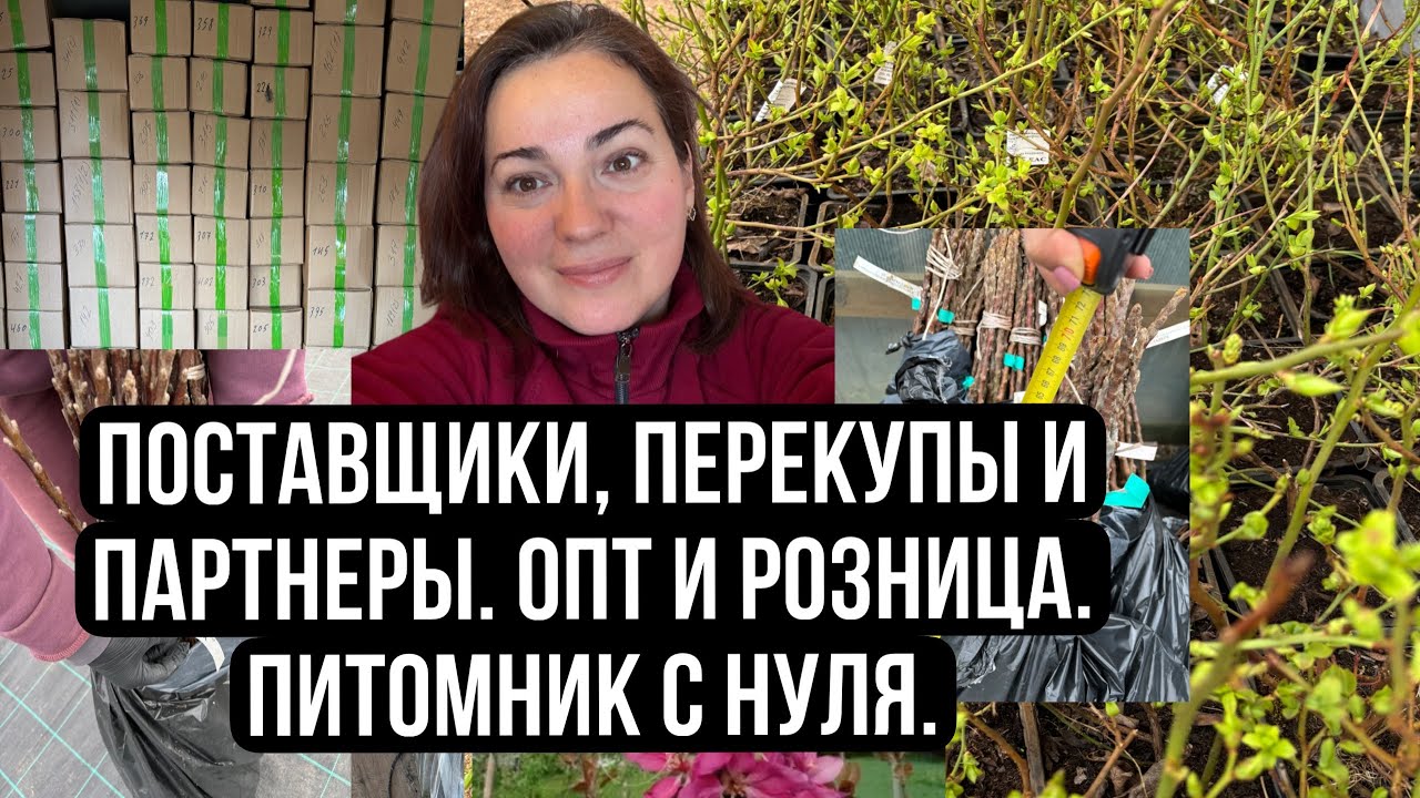 Питомник с нуля. Поставщики, партнеры и перекупы.