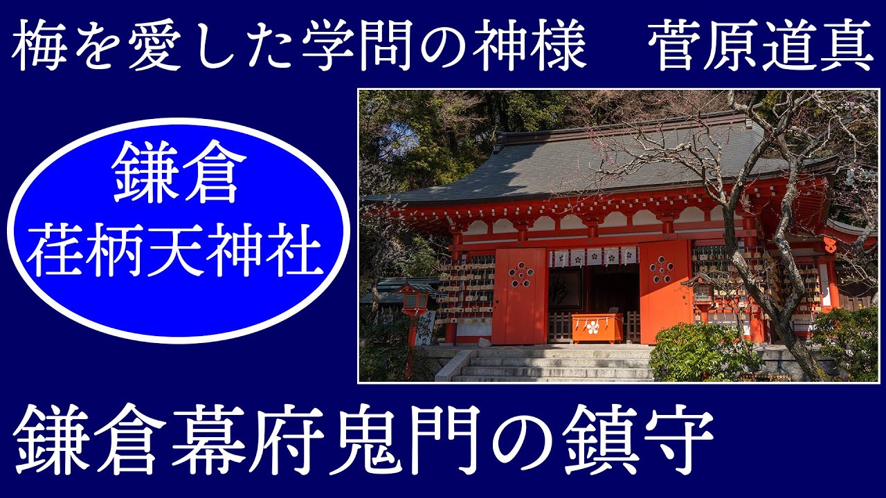 鎌倉 荏柄天神社 【鎌倉の旅おすすめ】 学問の神様 菅原道真公を祀る梅の美しい古天神  Beautiful JAPAN
