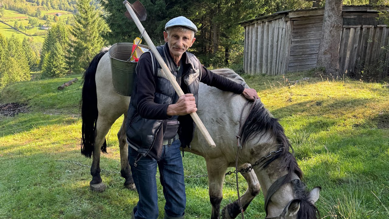 Authentic Village Life: Lonely Grandpa’s Life in the Carpathian Mountains | Heartfelt Rural Story