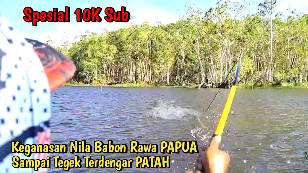 JORAN PANCINGKU SAMPAI TERDENGAR PATAH SAAT MANCING NILA BABON DIRAWA PAPUA II Mancing Liar #MLP-73