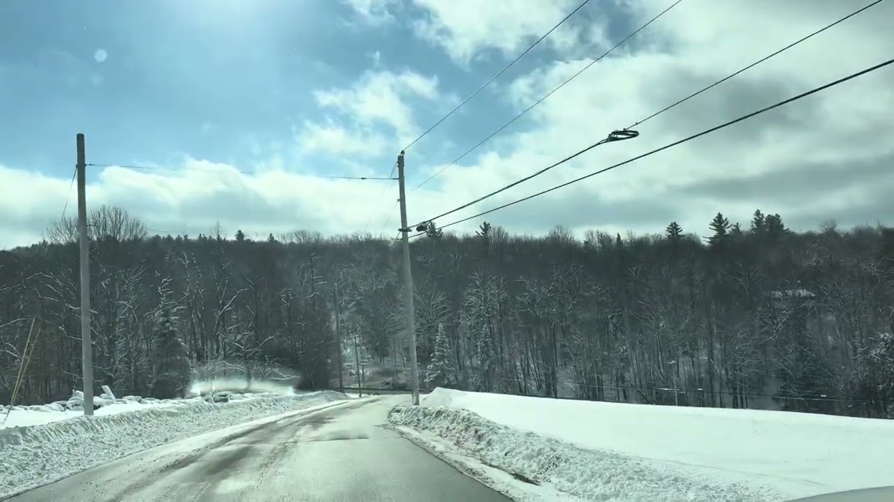 Winter wonderland 