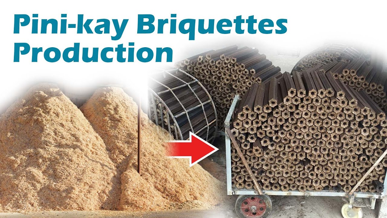 Pini Kay Briquette Machine: A Sustainable Solution for Recycling Biomass Wastes #sawdustbriquettes