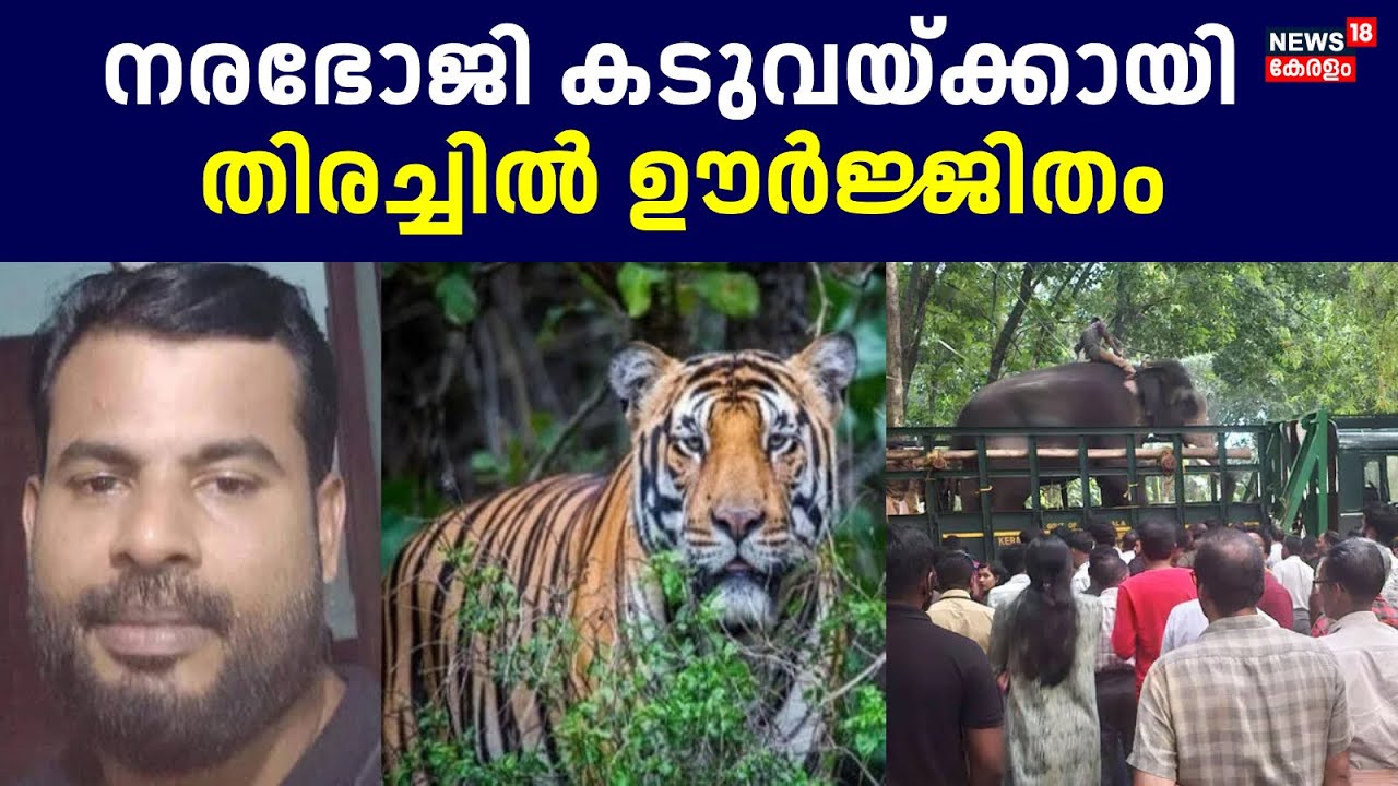 നരഭോജി കടുവയ്ക്കായി തിരച്ചിൽ ഊർജ്ജിതം | Malappuram Tiger Attack | Wild Animal Attack | Leatest News