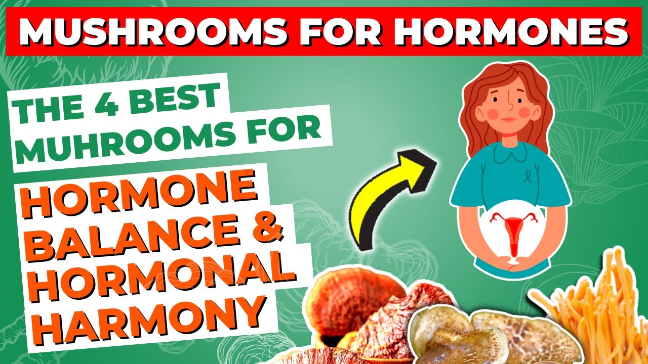 The 4 Best Mushrooms for Hormone Balance and Hormonal Harmony