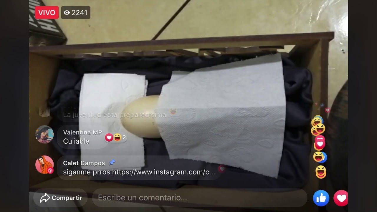 Huevo durmiendo