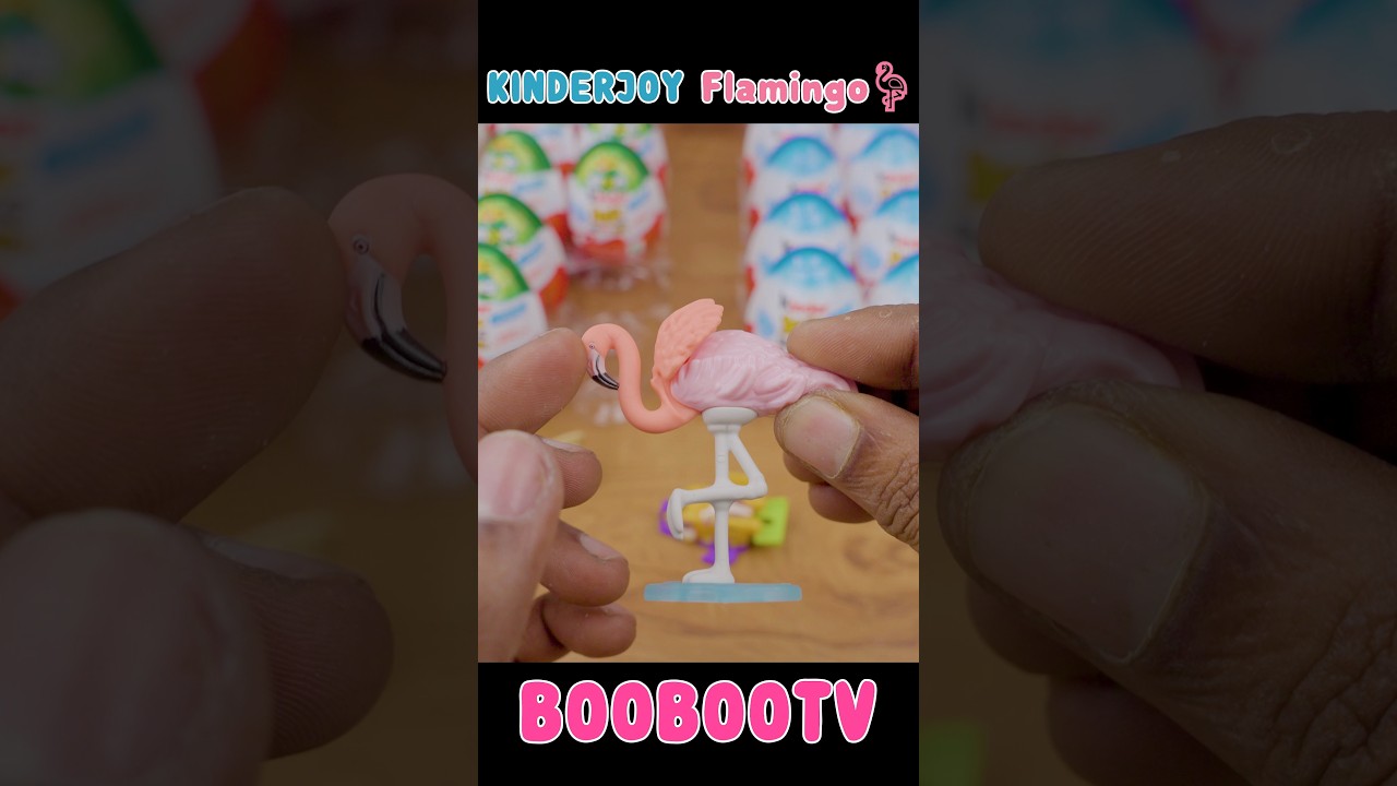 Kinderjoy Flamingo🦩