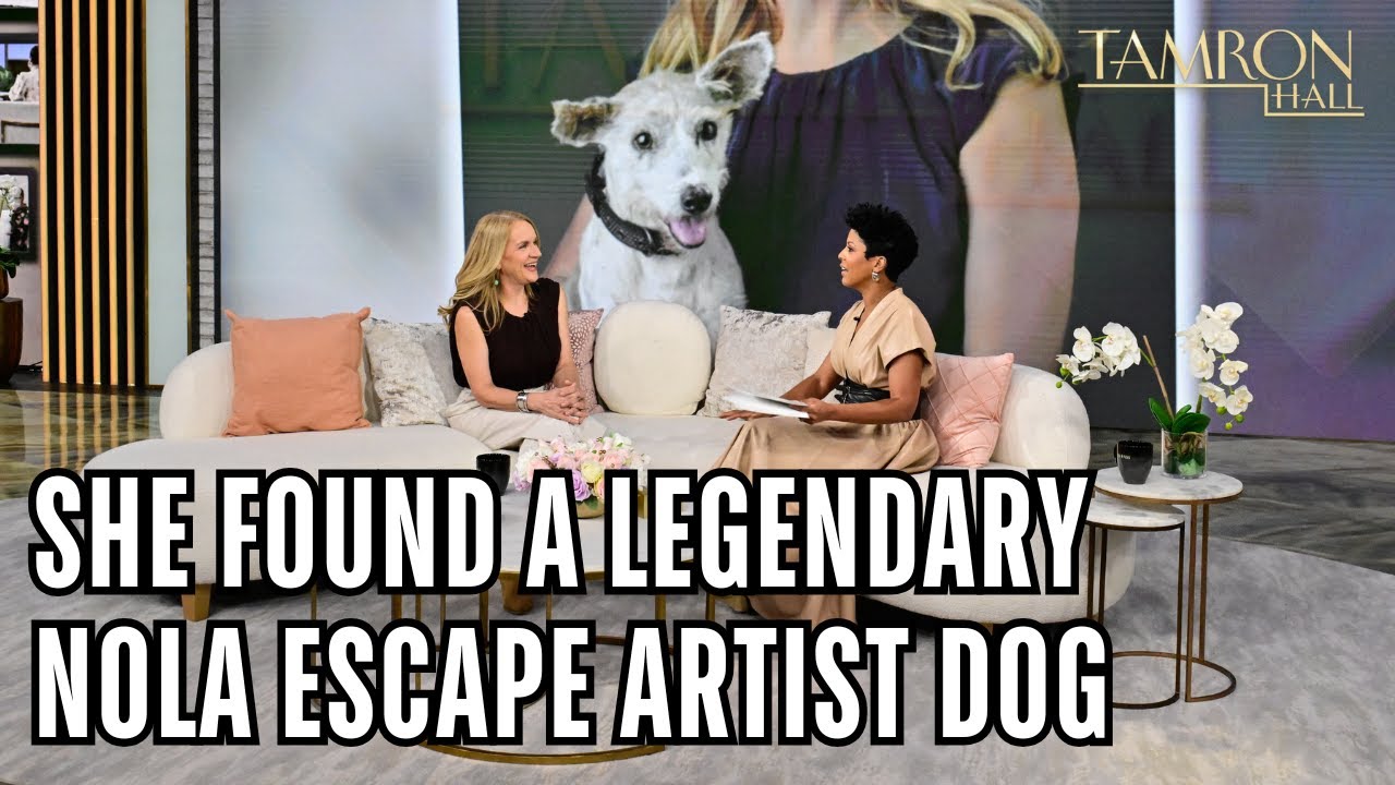 She Found a Legendary NOLA Escape Artist Dog After He Was on The Run for Nearly 200 Days