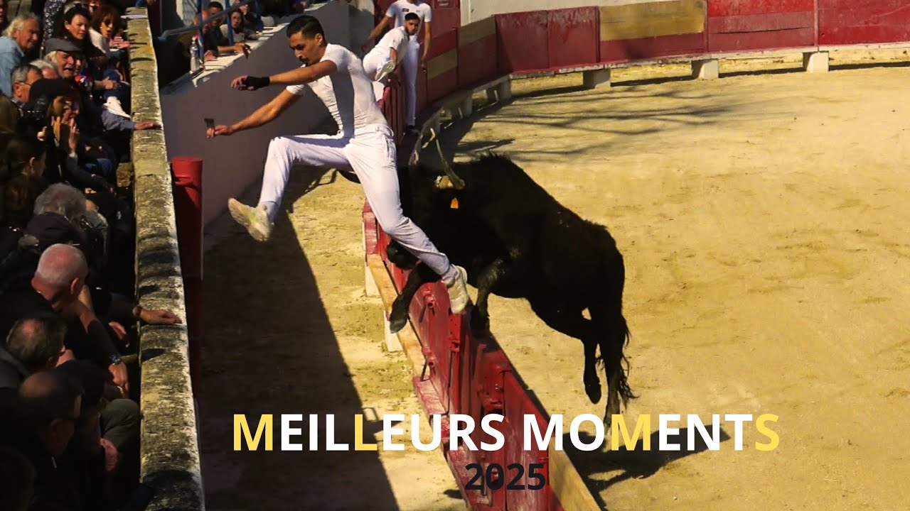 LES MEILLEURS MOMENTS DE 2025 - PARTIE 3 