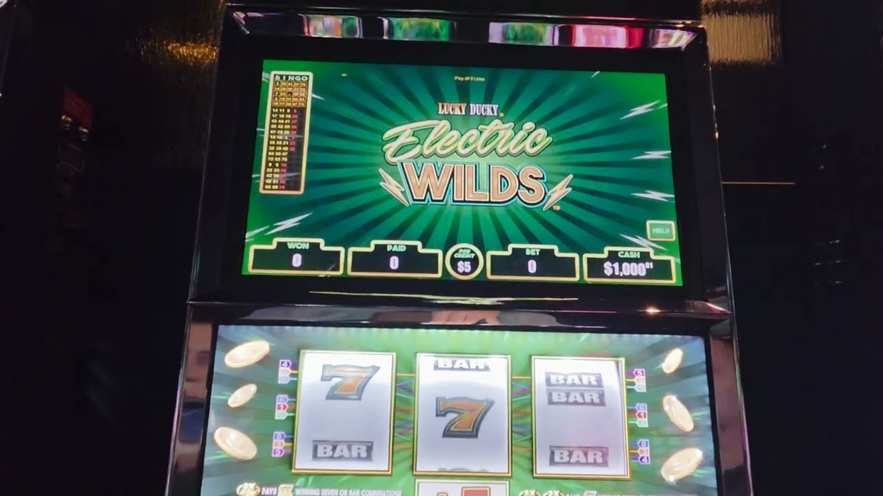 High Limit VGT Up to $45 Bets. Lucky Ducky, Pieces of Eight. 