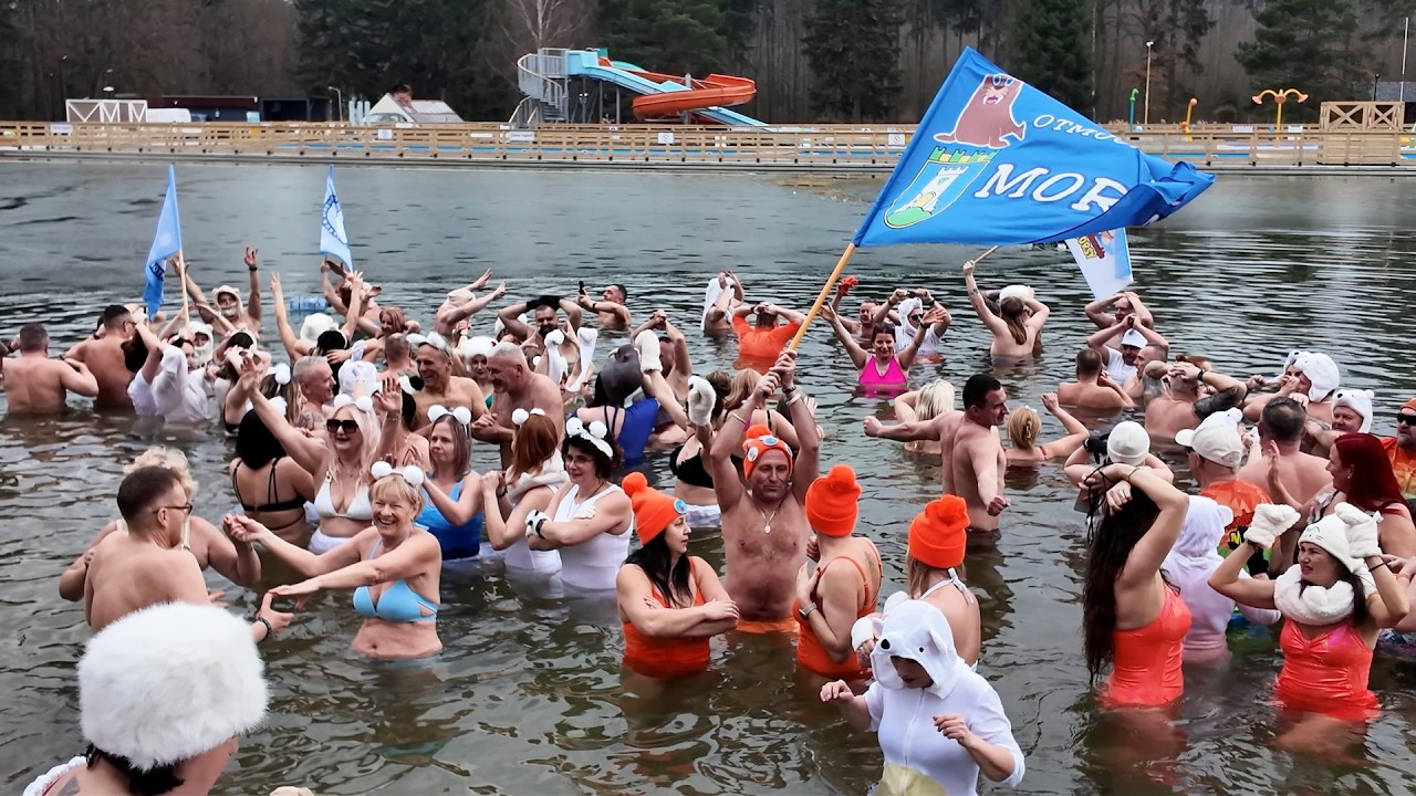 Polanicki Dzień Niedźwiedzia Polarnego