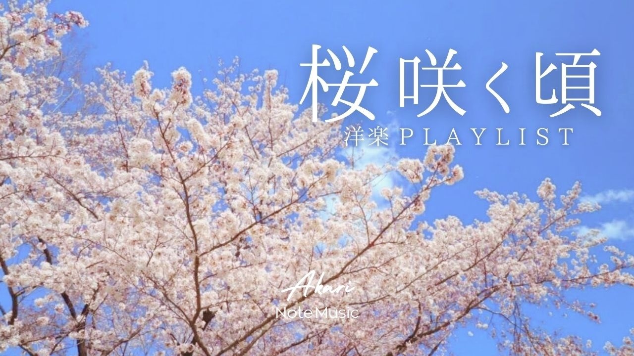 【春の作業用BGM】桜咲く頃 🌸 やさしく整う洋楽 Acoustic Chill 🎧  家事・読書・カフェタイムに｜Chill & Relax Playlist