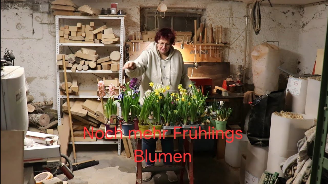 Noch mehr Frühlings Blumen  Teil 2