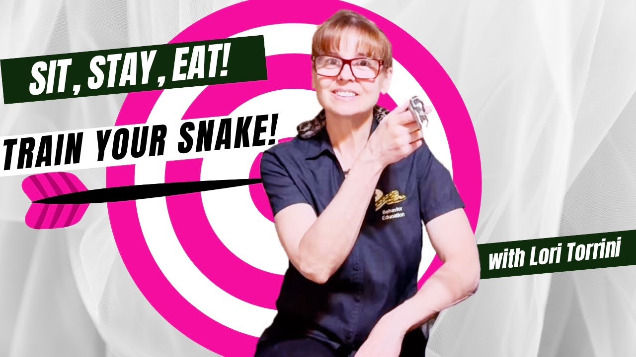 Let's Talk About Target Training For Snakes With Lori Torrini