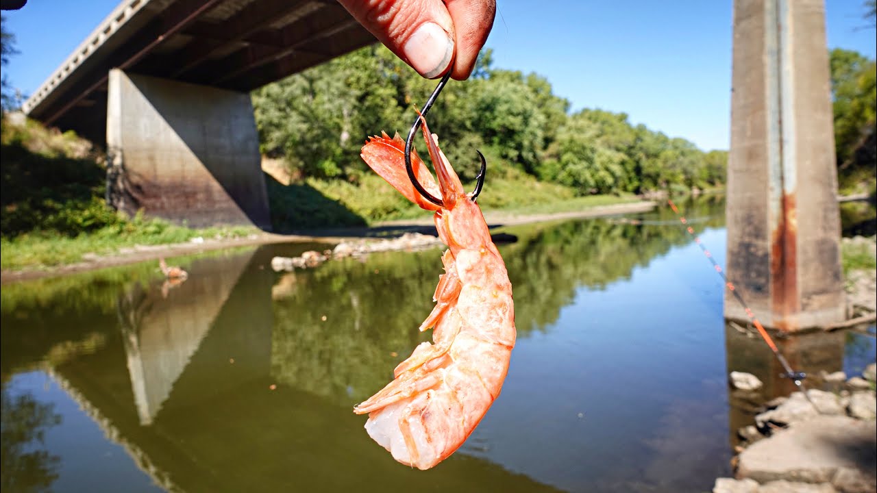 I HAVE NEVER Seen One Of These IN PERSON!!! (Unexpected Catch)