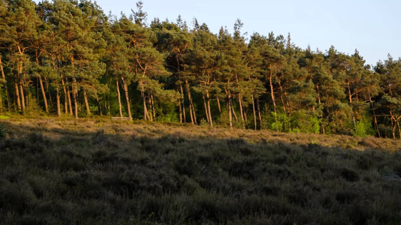 Lemelerberg