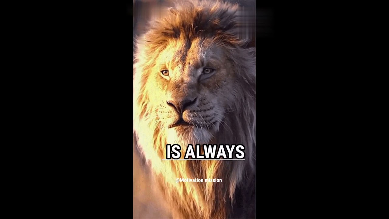 Lion attitude quotes🦁 #youtubeshorts 🔥#viral 💯 #lions #short