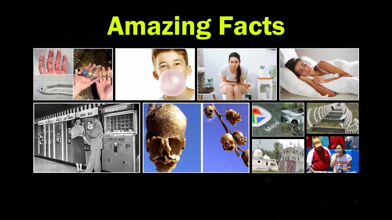 10 Amazing Facts-5