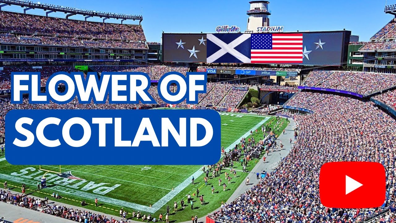 How SCOTLAND Fans will sound at World Cup 26 in Gillette Stadium, Foxborough 🏴󠁧󠁢󠁳󠁣󠁴󠁿🏆🇺🇸