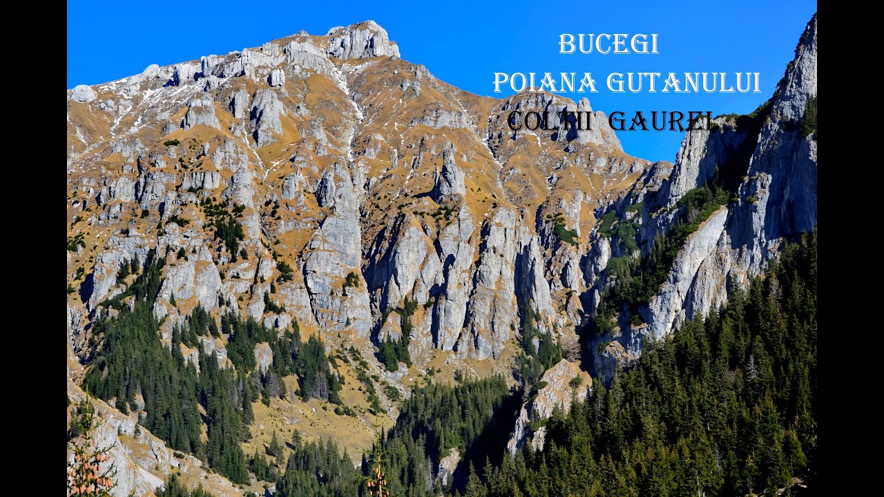 Munții Bucegi  -Poiana Guțanului  -Stâna Gaura   -Colții Gaurei