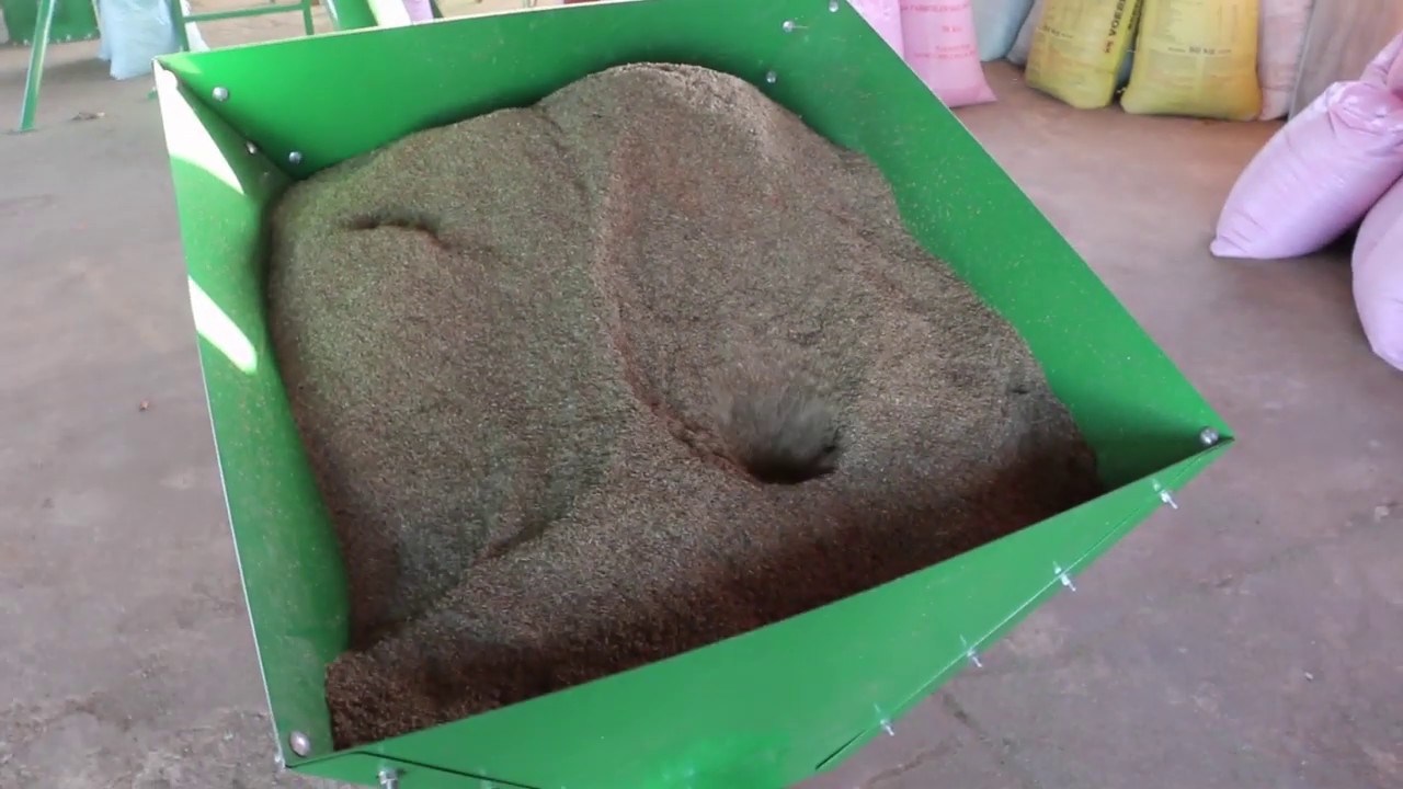 Eragrostis Teff Cleaning Plant by JAPS Engineering