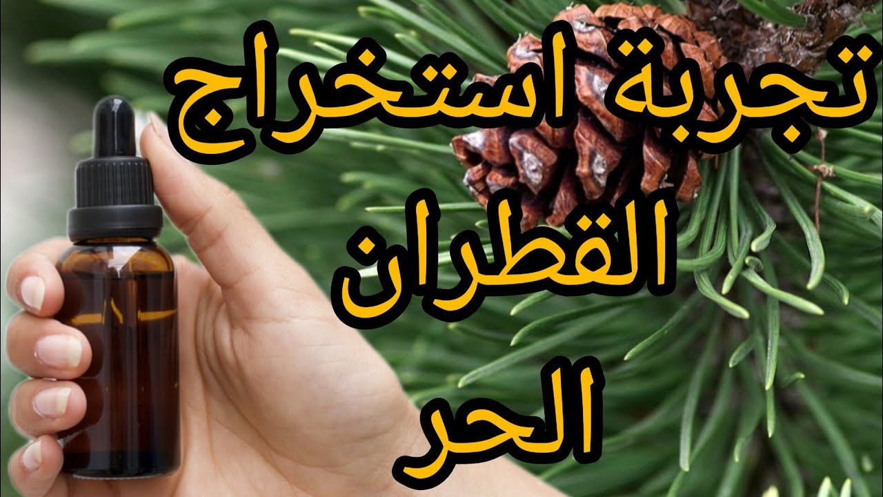 طريقة إستخراج القطران : أضرارالقطران و منافعه