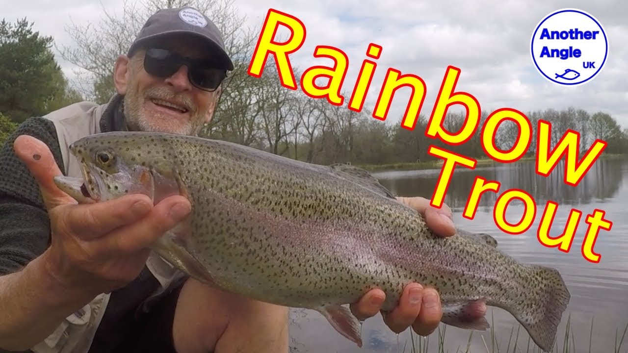 Rainbow Trout : Match the Hatch : Fierce Takes : Midmar Stillwater Fishery : Aberdeenshire