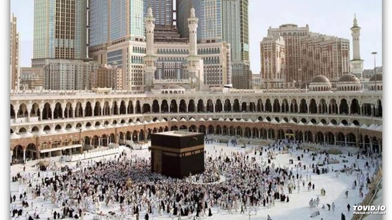 معنى قوله تعالى { حتى إذا استيئس الرسل وظنوا أنهم قد كذبوا جاءهم نصرنا فنجي من نشاء }