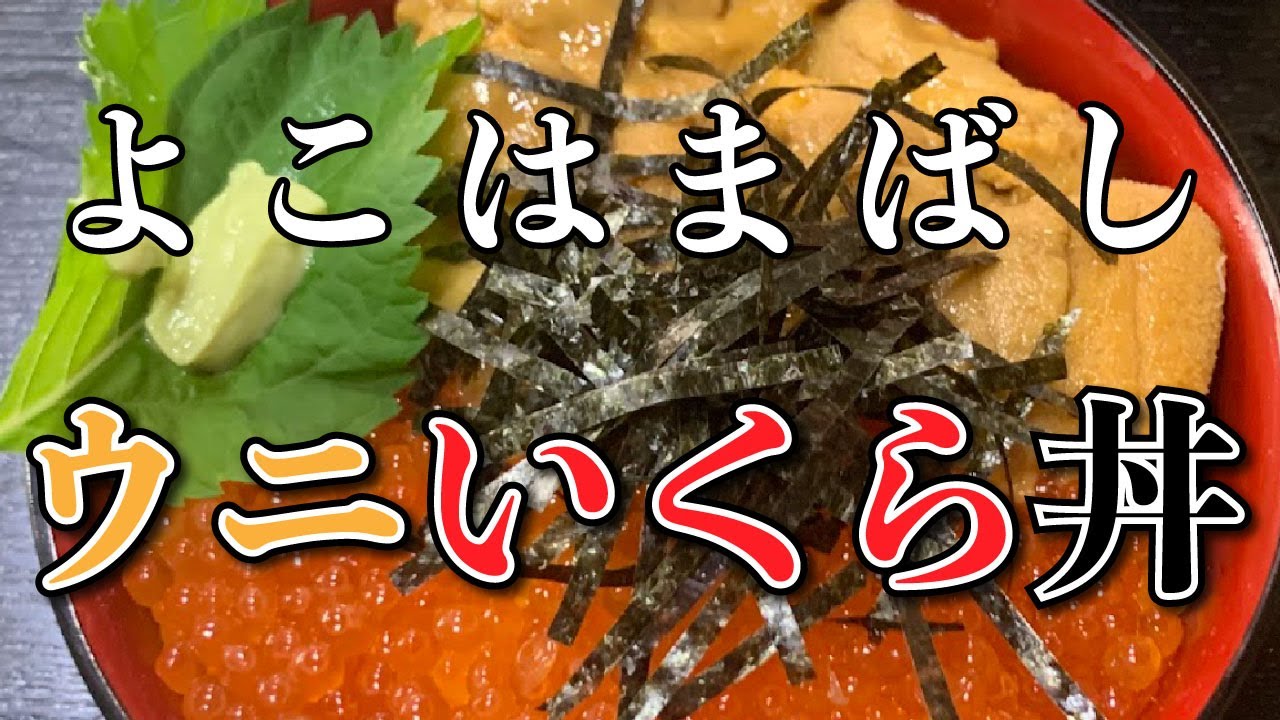 【いろは】ウニいくら丼【横浜橋商店街】横浜朝めしチャンネル【よこはまばし ウニいくら丼】