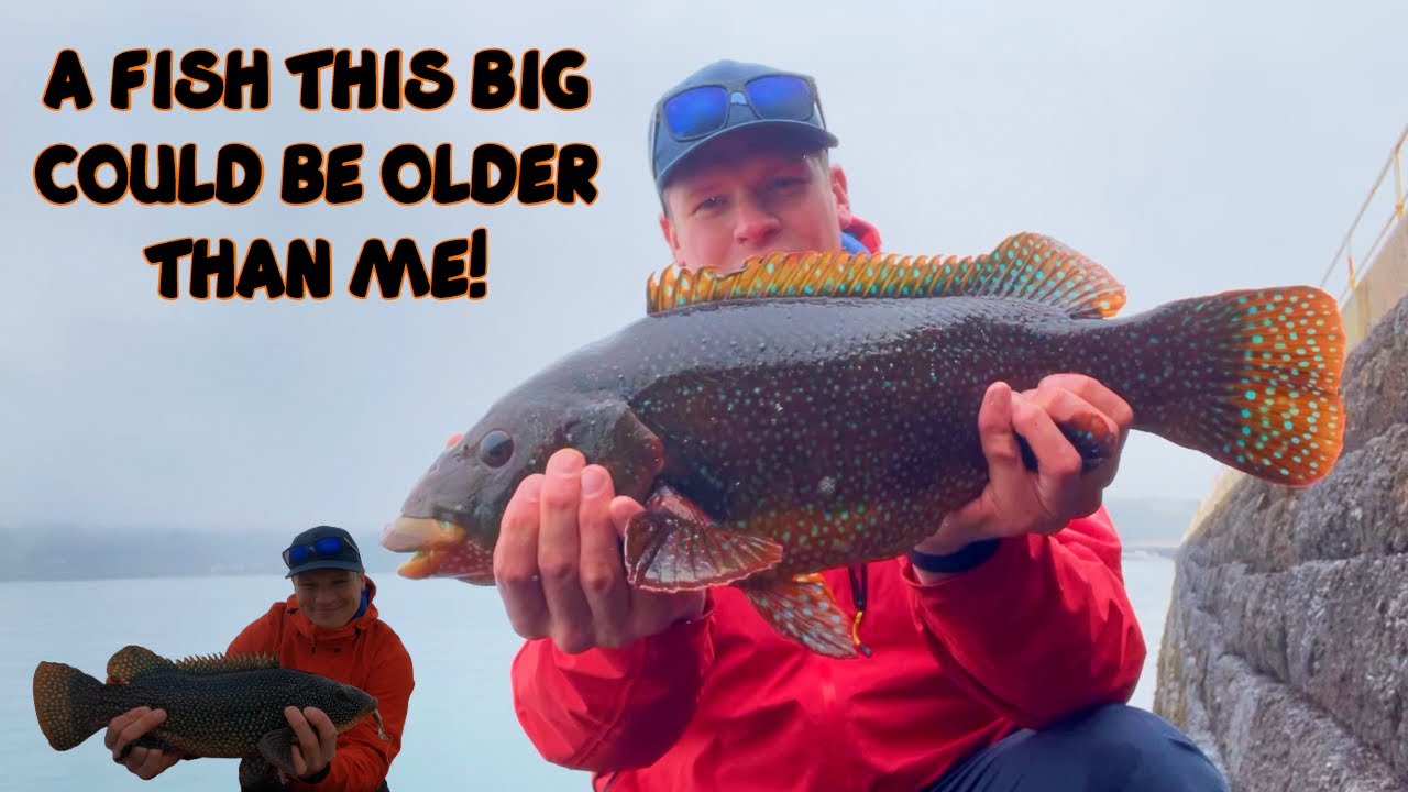 BIG PLASTICS TEMPT BIG FISH - LURE FISHING UK - WINTER LURE FISHING