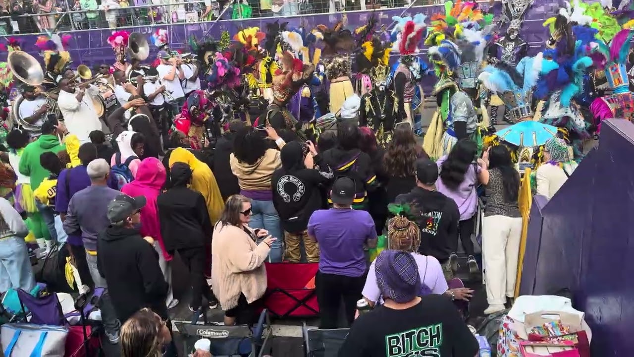 Mardi Gras 2026 parade Zulu at St.Charles street