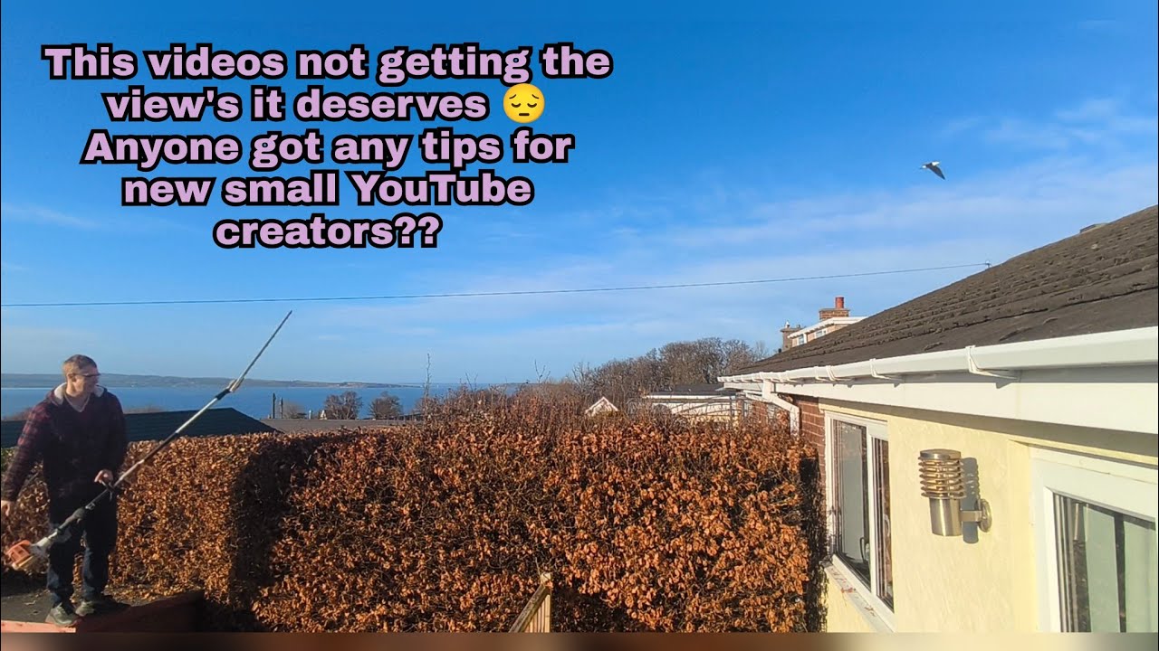 Master Hedge Cutting: Green Beech Edition