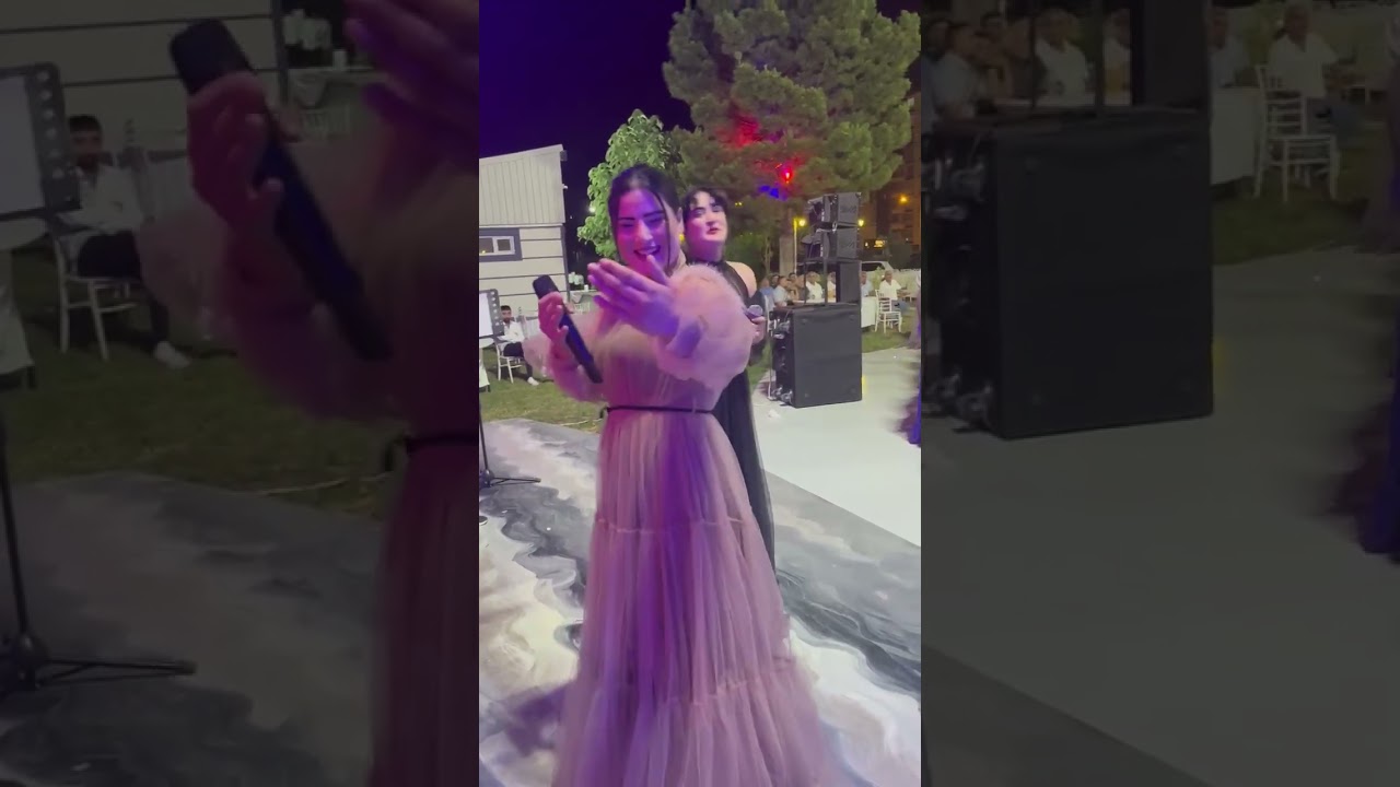 Rojin hejar leyla hejar Ful segavi