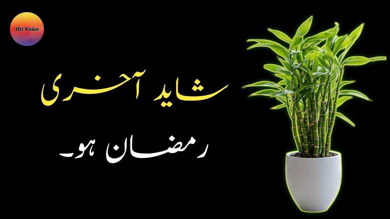 شاید آخری رمضان ہو؟ || Ramzan Special Bayan 2026