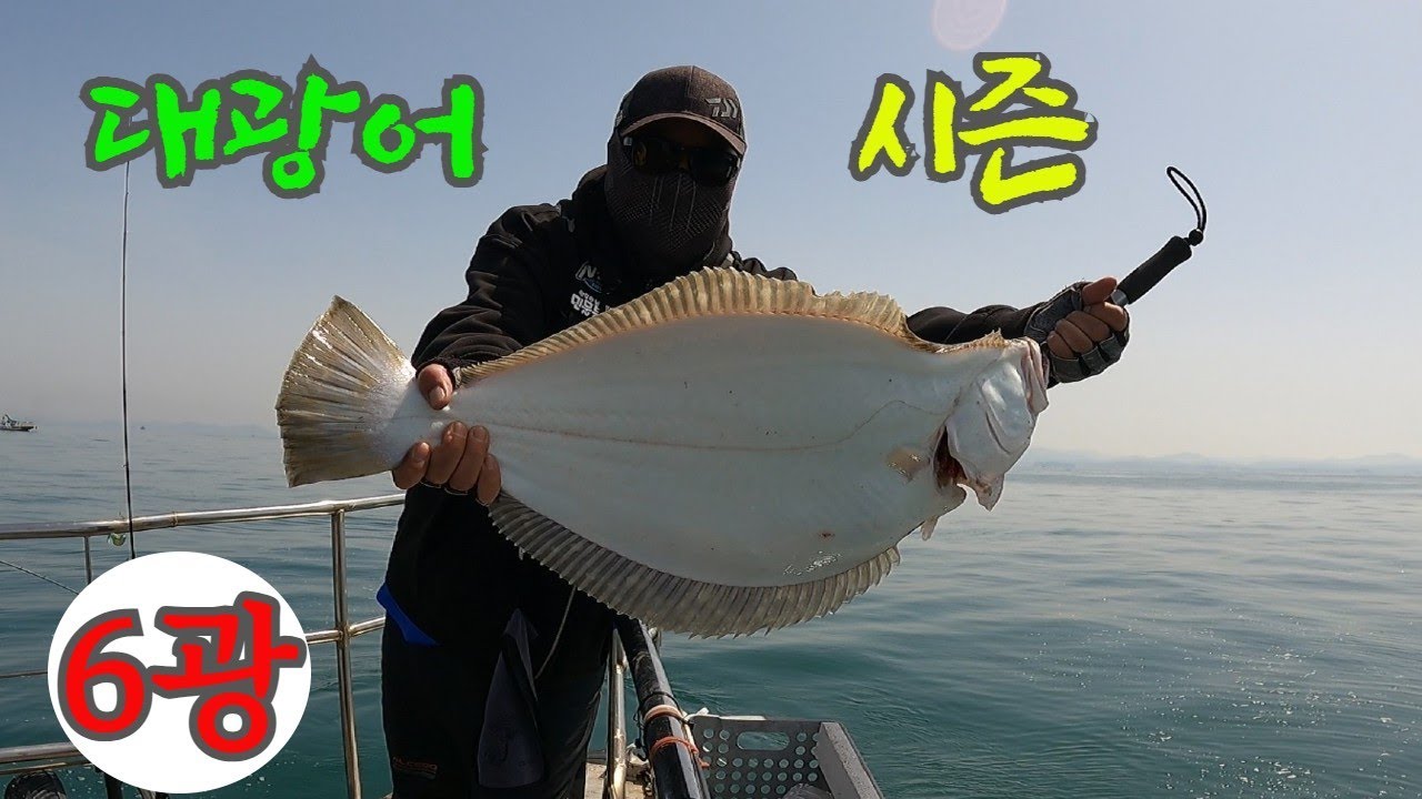 기초적이지만 실질적인 광어다운샷 하는 방법 [남당항 클럽씨피싱 대성호]