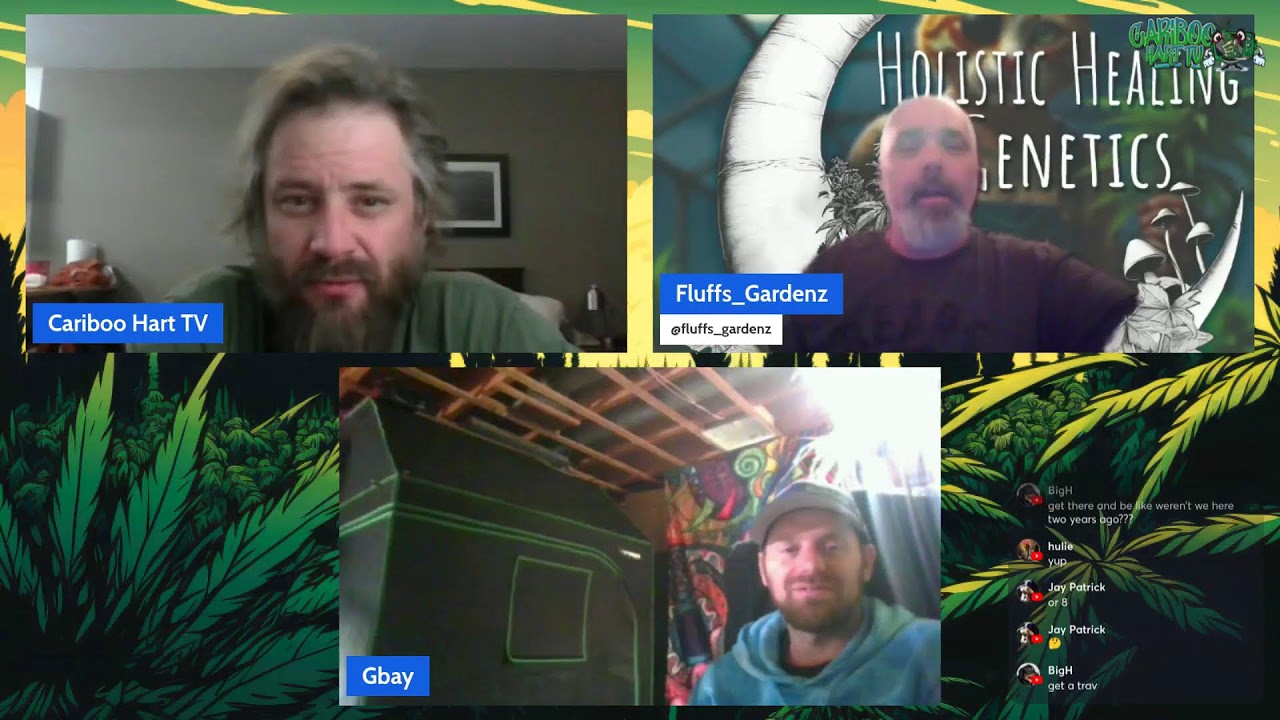 Tuesday Night Toke 8/26/25