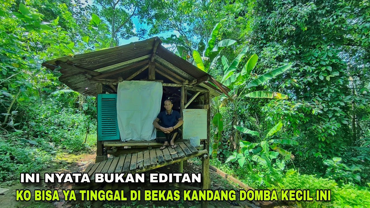 MIRIS😭😭TINGGAL MENYENDIRI DI BEKAS KANDANG DOMBA TANAH MILIK ORANG DEKAT HUTAN