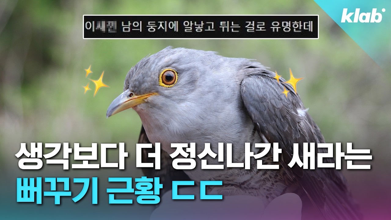 ‘세상에서 제일 정신나간 새?', 뻐꾸기의 미친 생존 본능ㄷㄷ｜크랩
