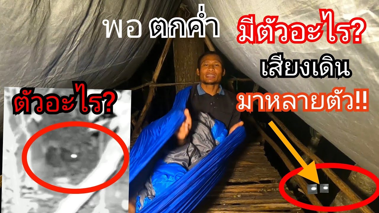 1/4/68 นอนห้างตะเคียนหินคู่ อากาศครึ้มฟ้า⛈️⚡ครึ้มฝน ตกค่ำมีเสียงเดินมา❗เอากล้องส่อง😲คือตัวอะไร⁉️🐗🦌🦔🐈