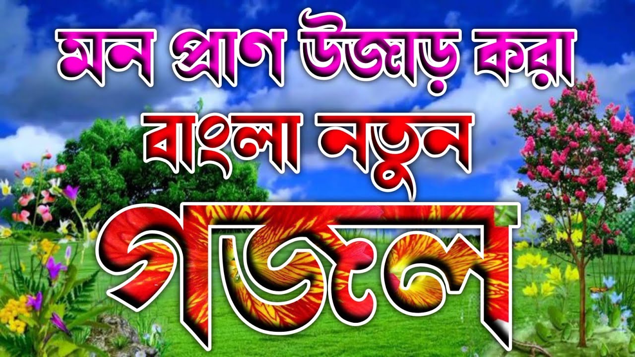 নবীজির বাড়ির সেরা গজল বাংলা 🔥 ইসলামিক গজল 🔥 notun gojol 2026 🔥 gojol new 🔥
